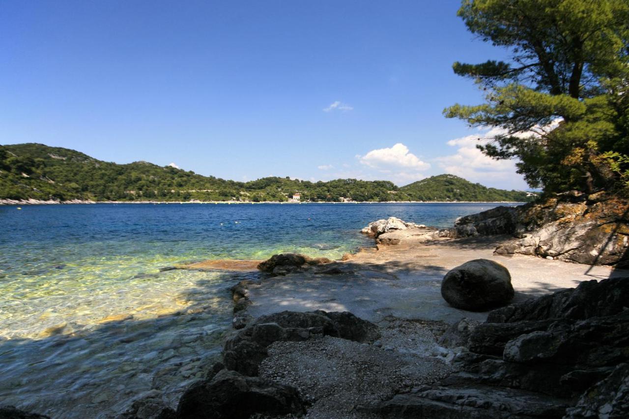Apartments By The Sea Sobra, Mljet - 4908 Babino Polje エクステリア 写真