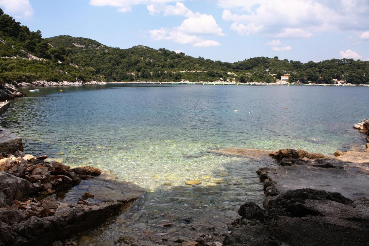 Apartments By The Sea Sobra, Mljet - 4908 Babino Polje エクステリア 写真